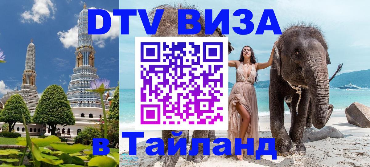 Сколько стоит DTV виза — актуальные цены, оформление даже без документов - Дамаск  05.10.2025 